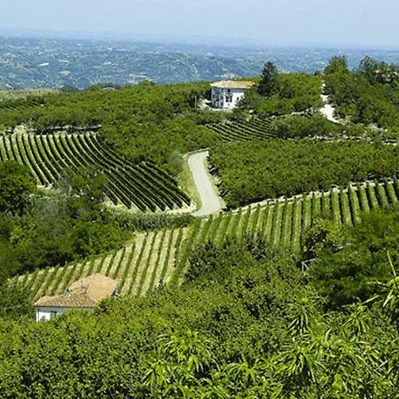 Agriturismo Cascina Anri Mango Exterior foto