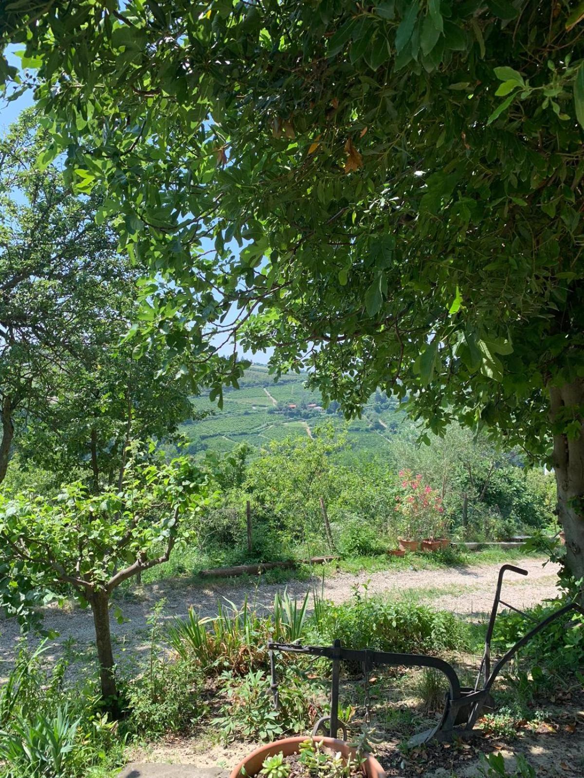 Agriturismo Cascina Anri Mango Exterior foto