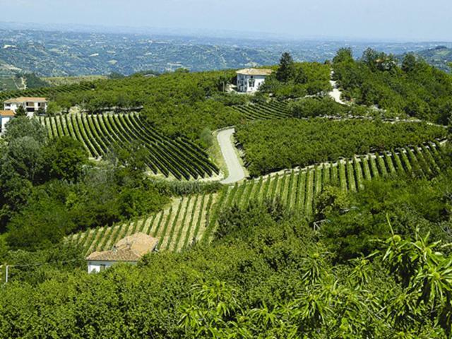 Agriturismo Cascina Anri Mango Exterior foto